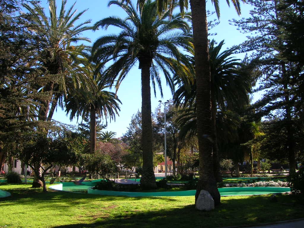 Café de la Plaza — imagen 2